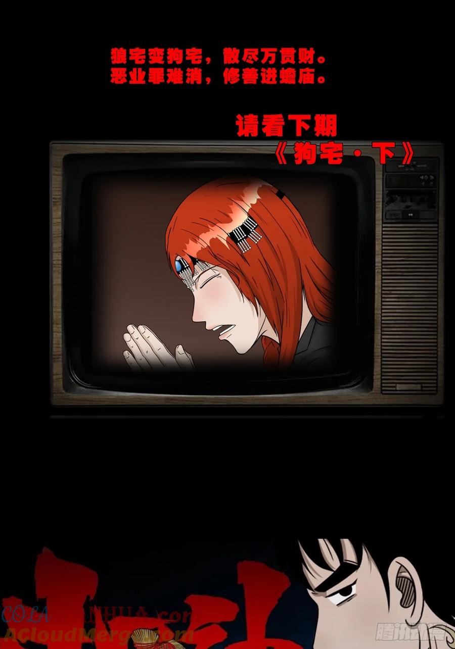 55.jpg