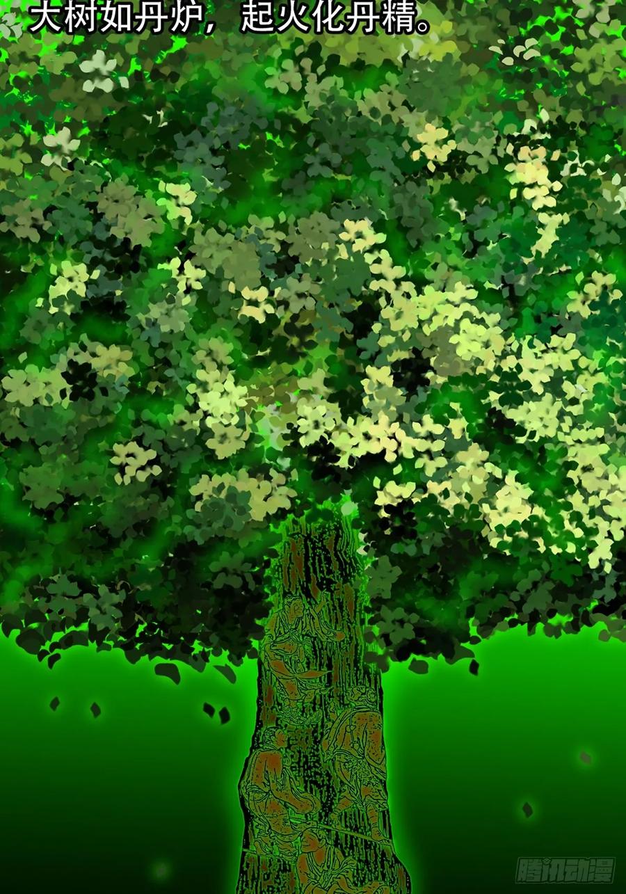 21.jpg