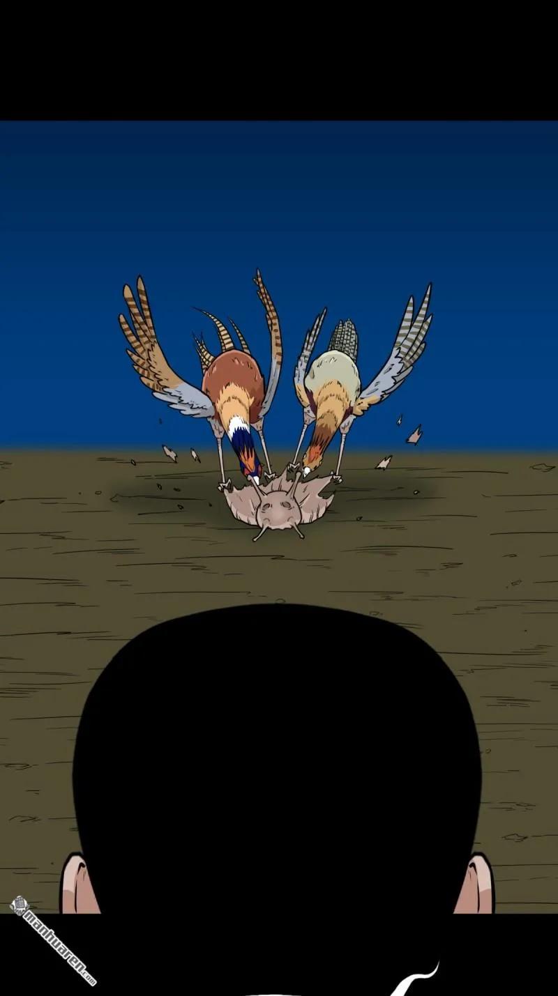 27.jpg