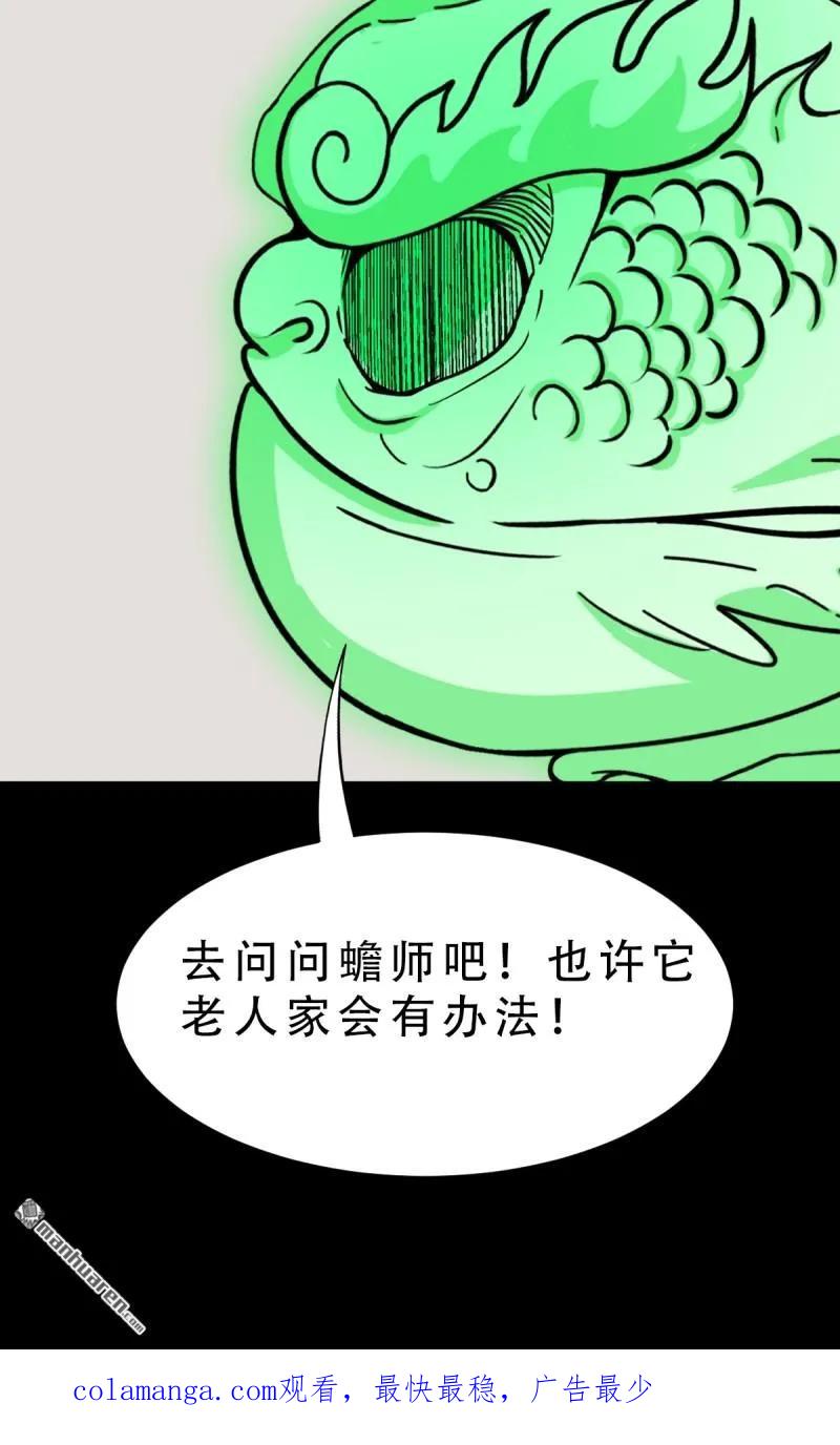 47.jpg