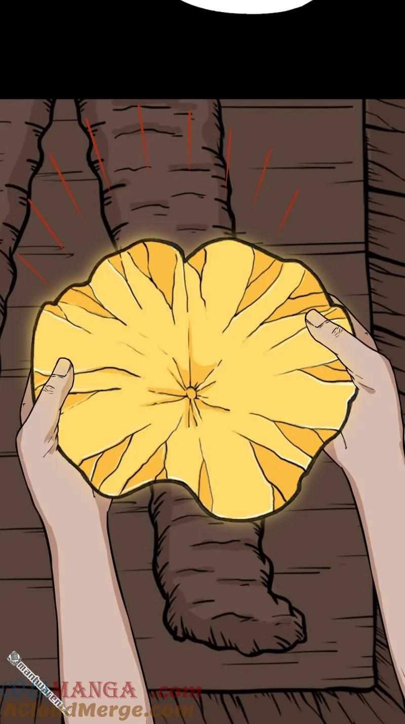 34.jpg