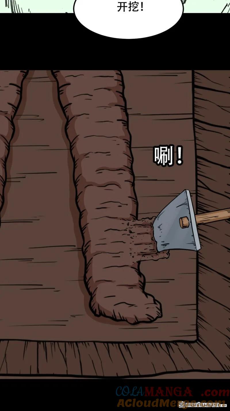 43.jpg