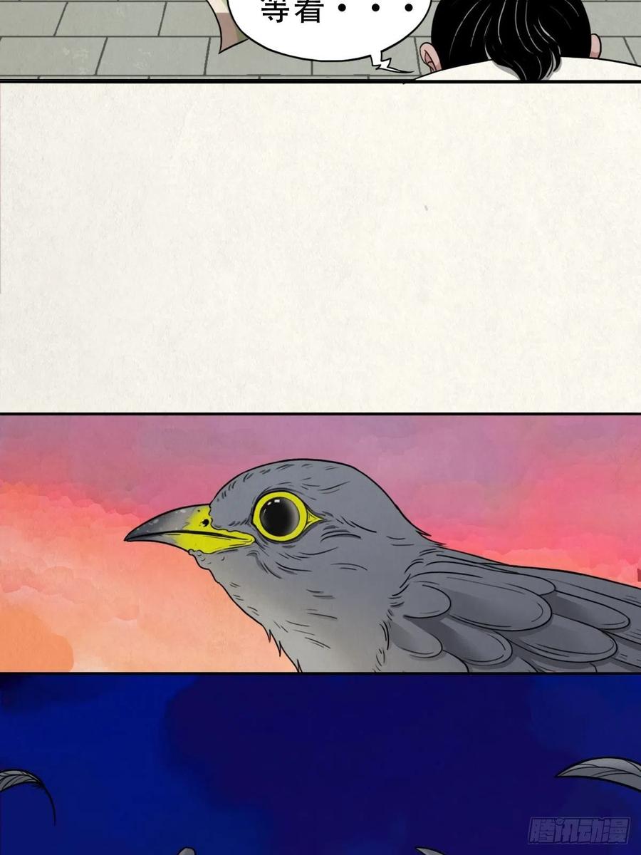 56.jpg