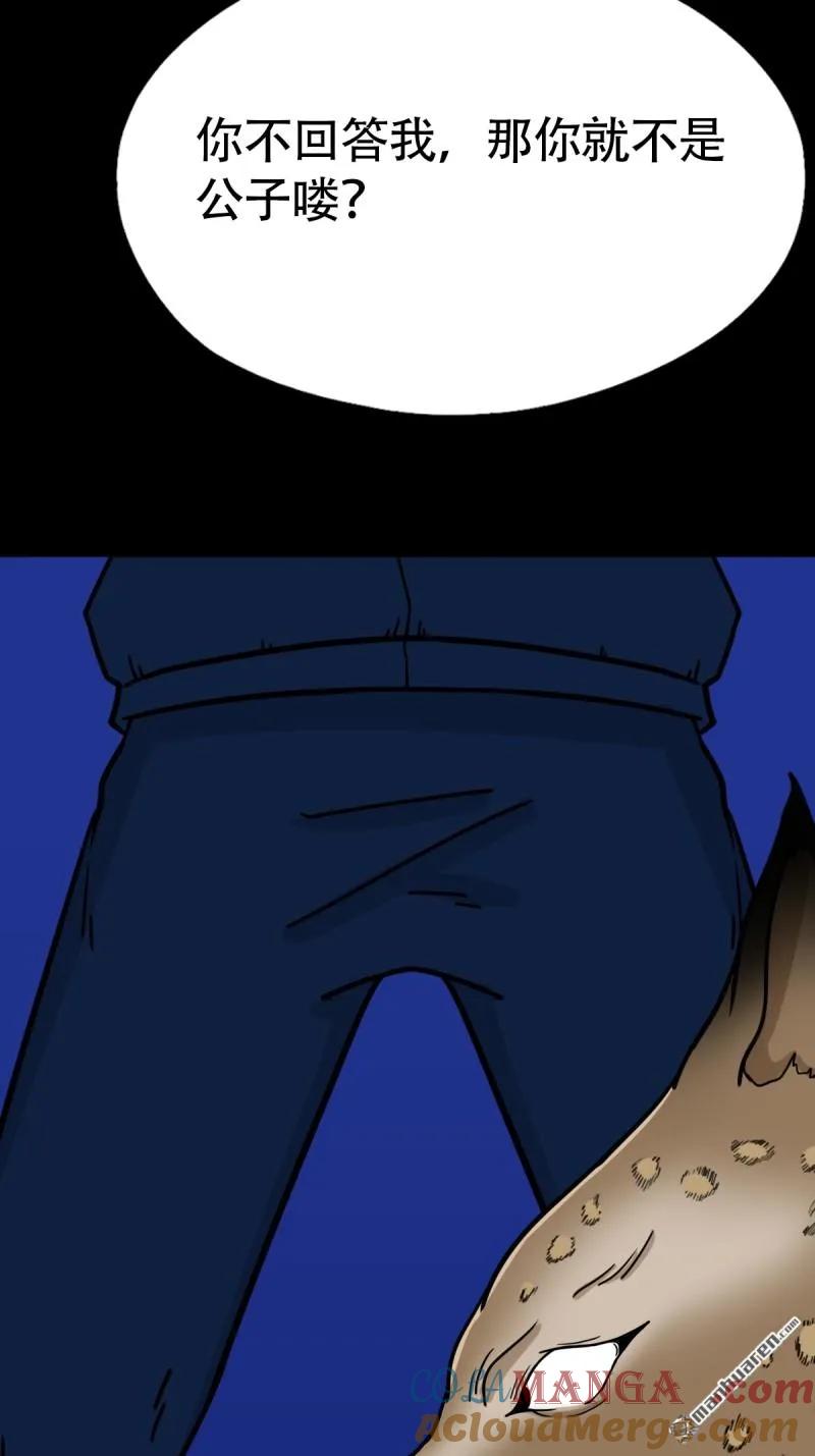 43.jpg