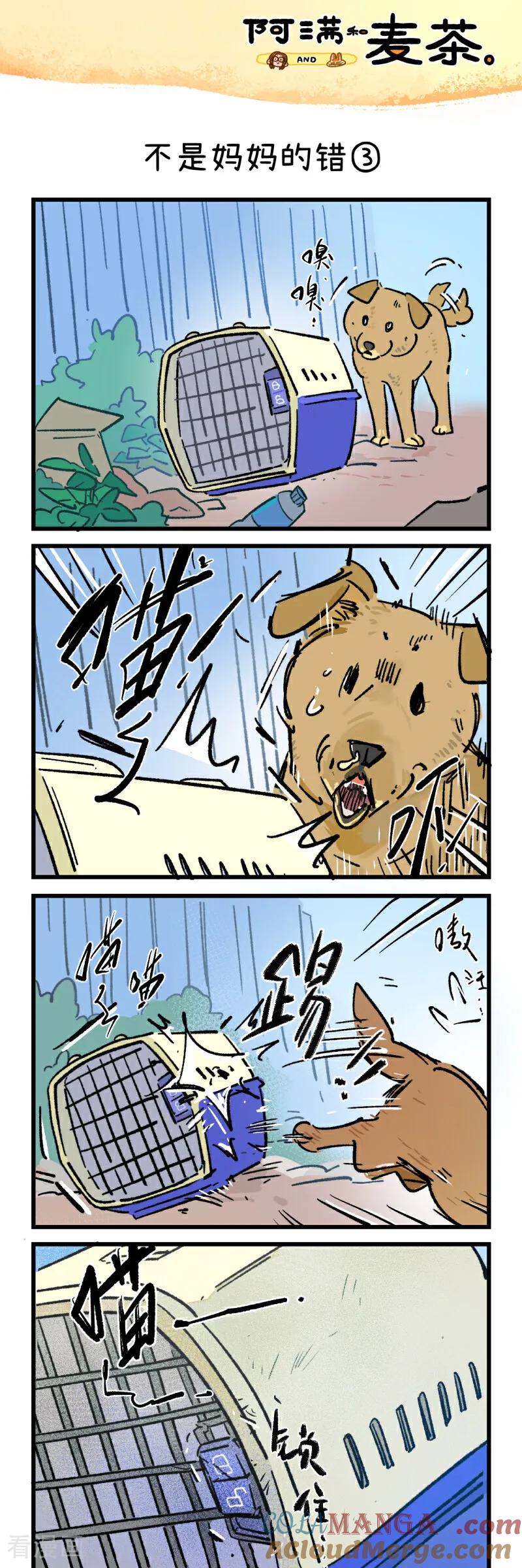 第245话-阿满和麦茶-新漫画 日胖大海寺（第5张）