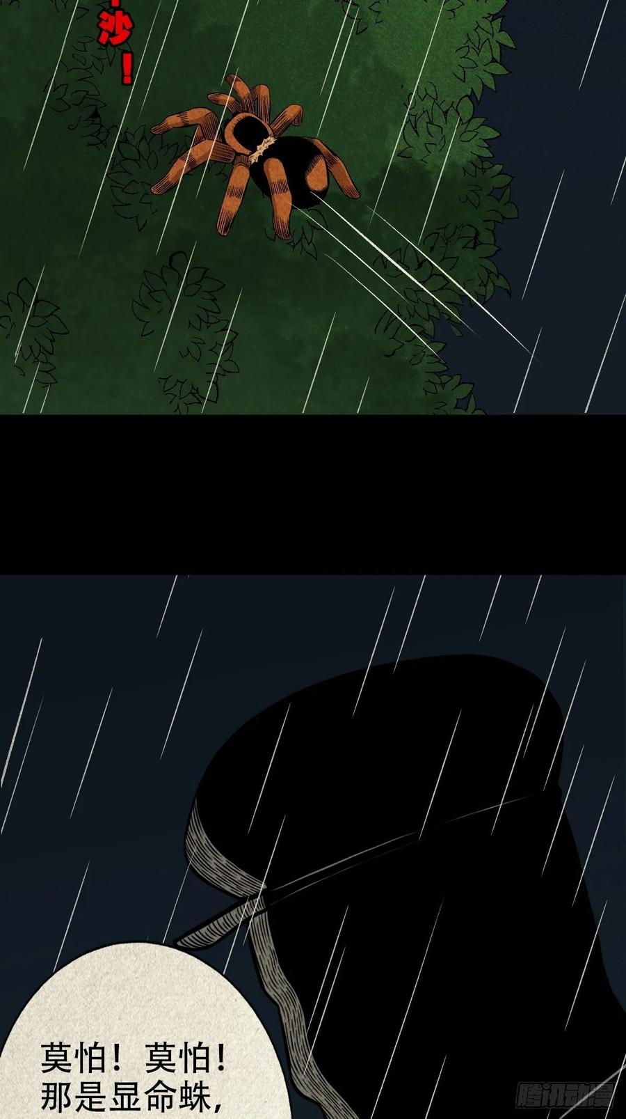 47.jpg