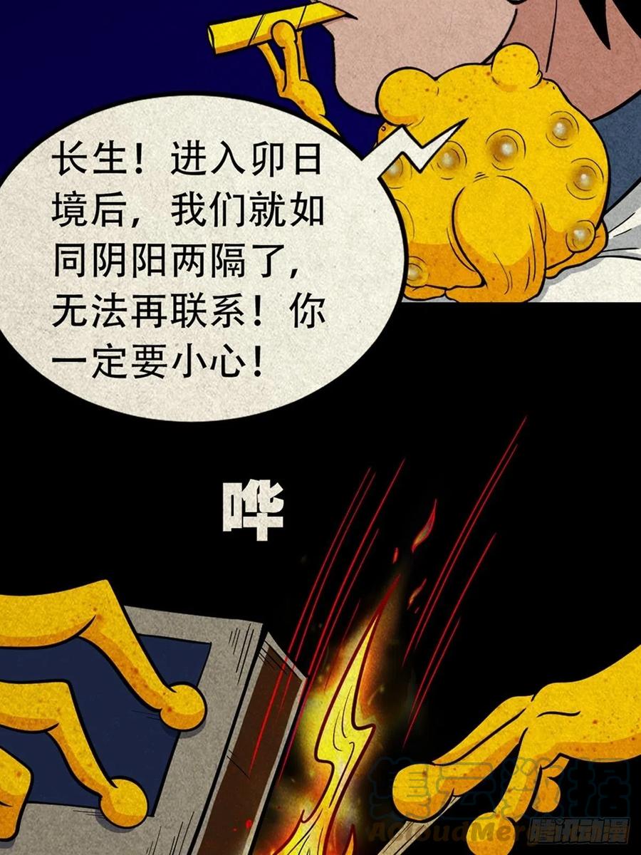 46.jpg