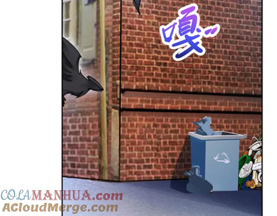 89.jpg
