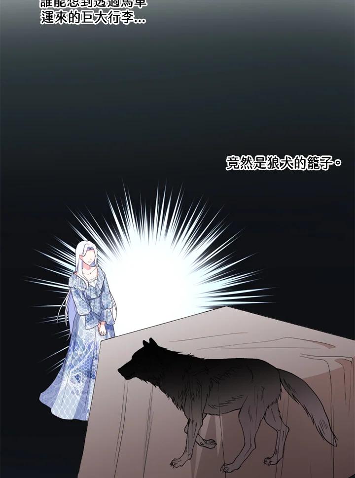 20.jpg