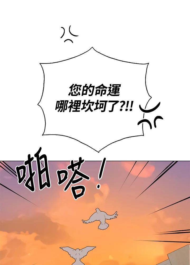 95.jpg