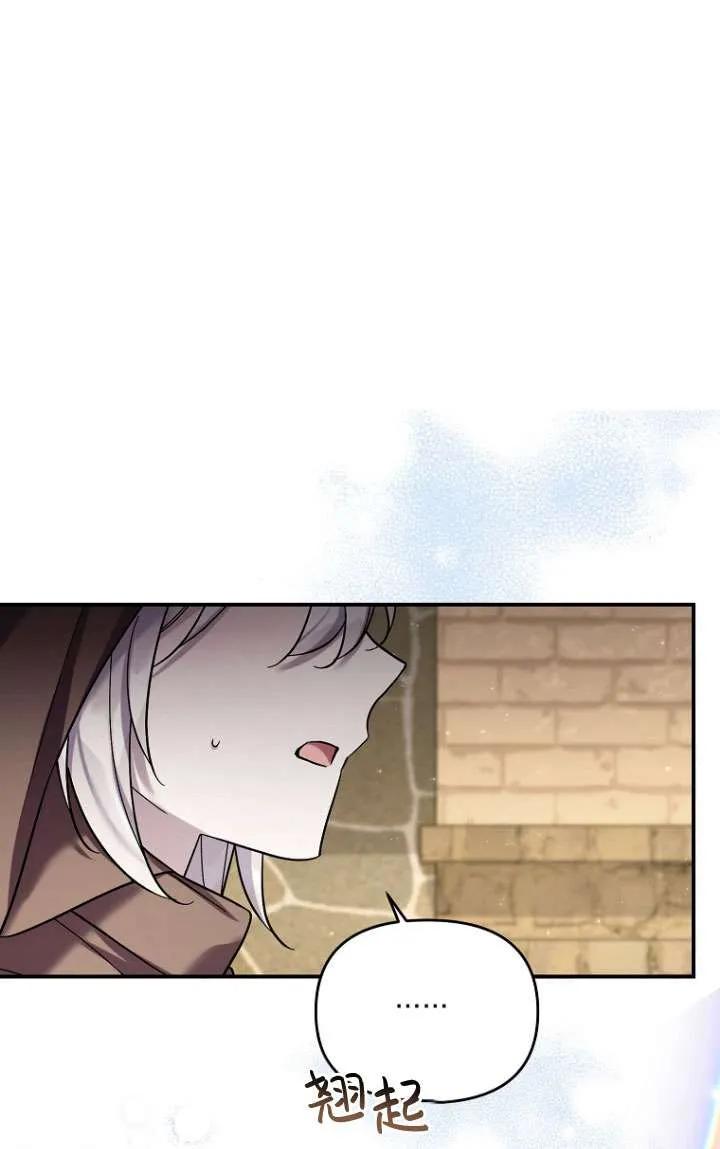 51.jpg