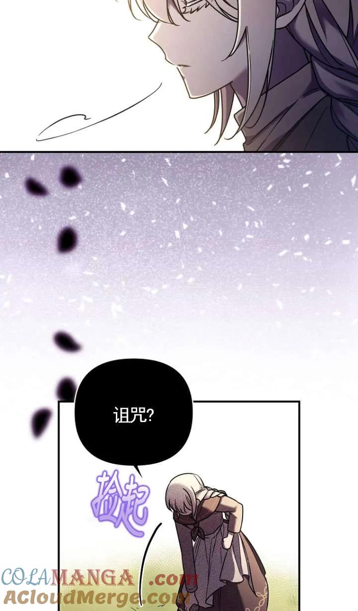 79.jpg