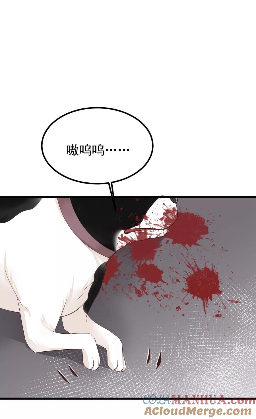 第77话打死这只狗-读档皇后-极漫文化（第11张）