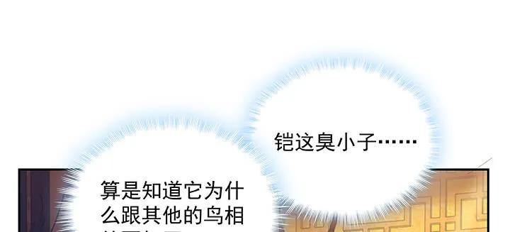 85.jpg