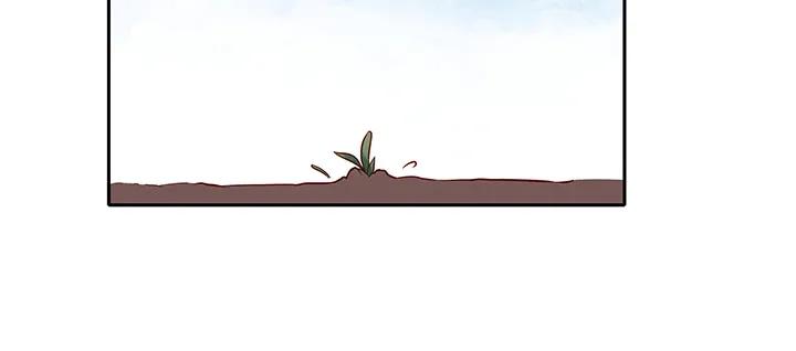 117.jpg