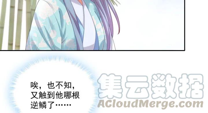 81.jpg