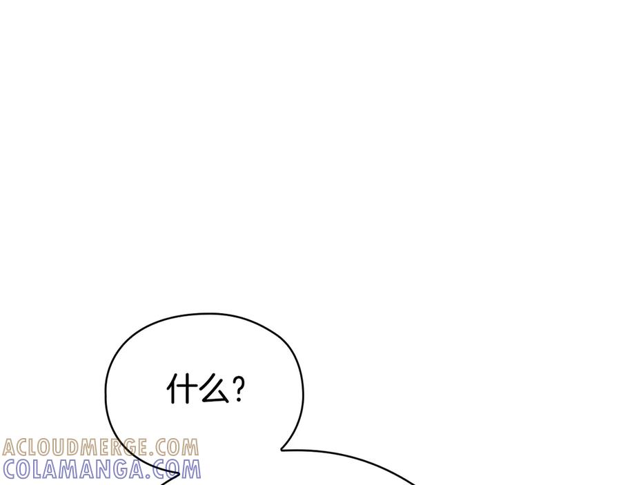 221.jpg