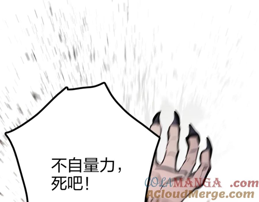 141.jpg