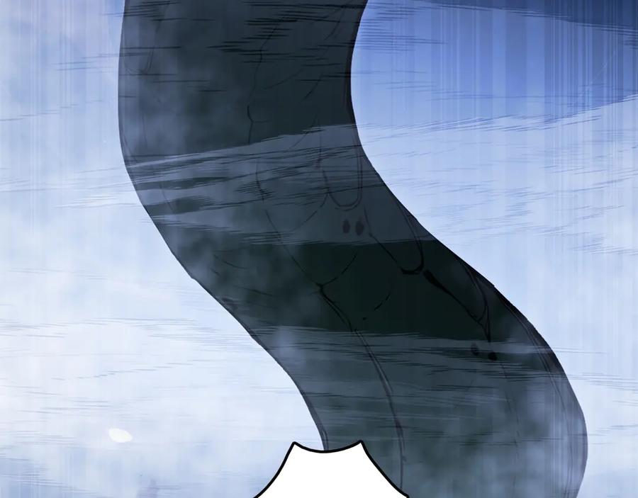 163.jpg