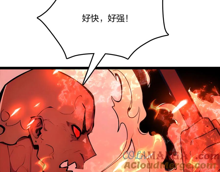 97.jpg