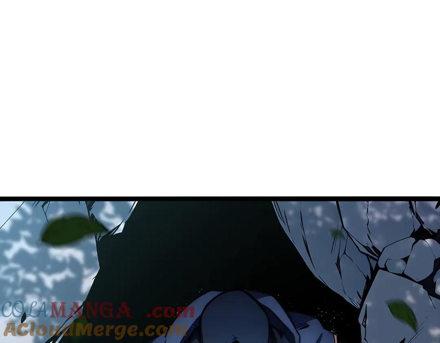133.jpg
