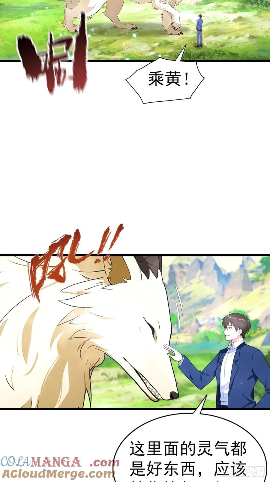 21.jpg