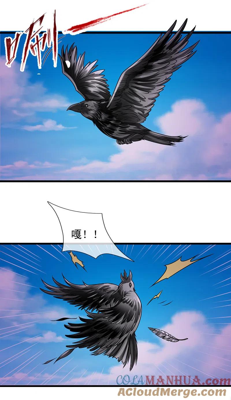 21.jpg