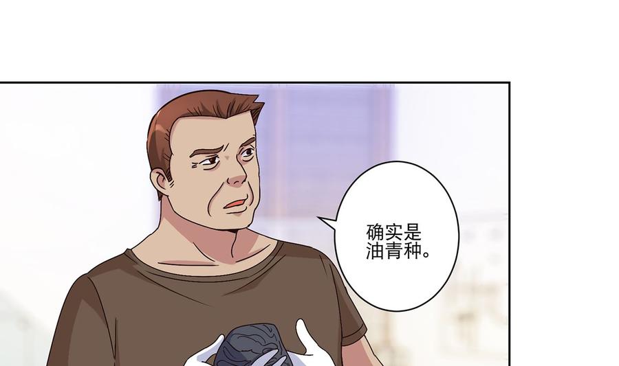 27.jpg