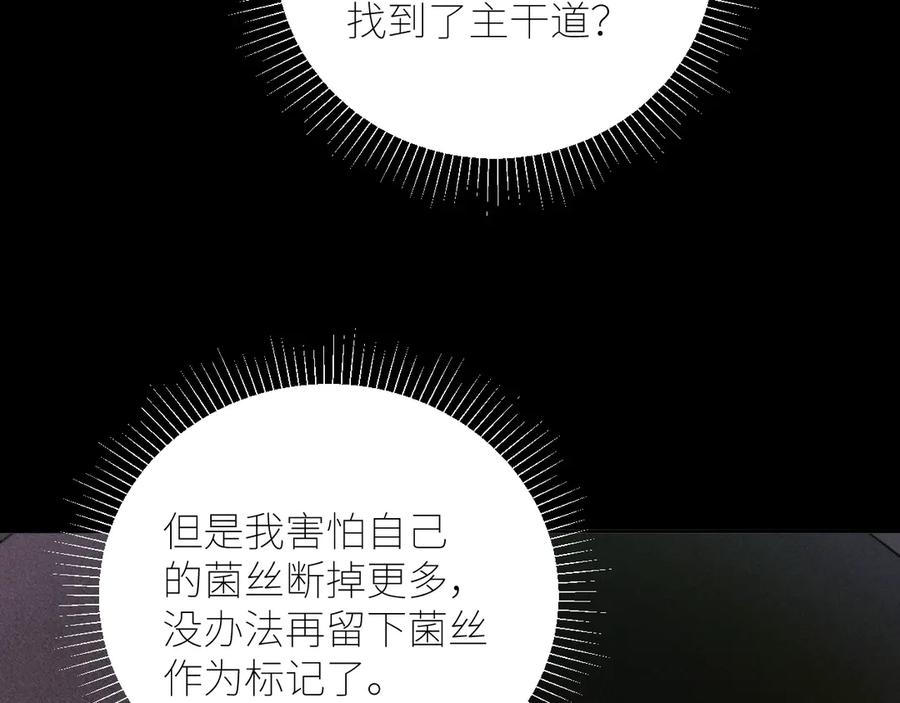 84.jpg