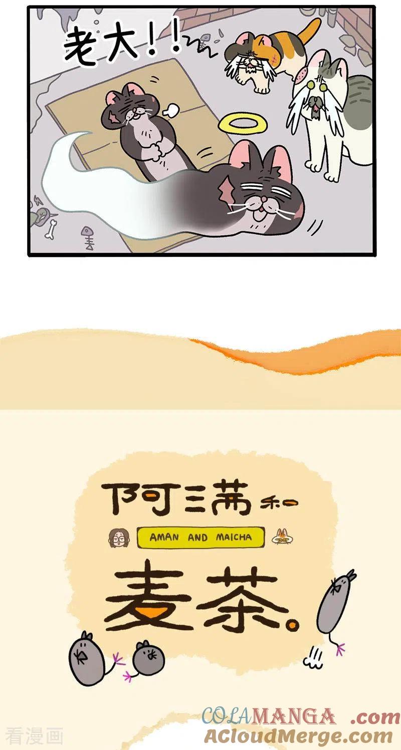 第37话1继任老大-阿满和麦茶-新漫画 日胖大海寺（第5张）
