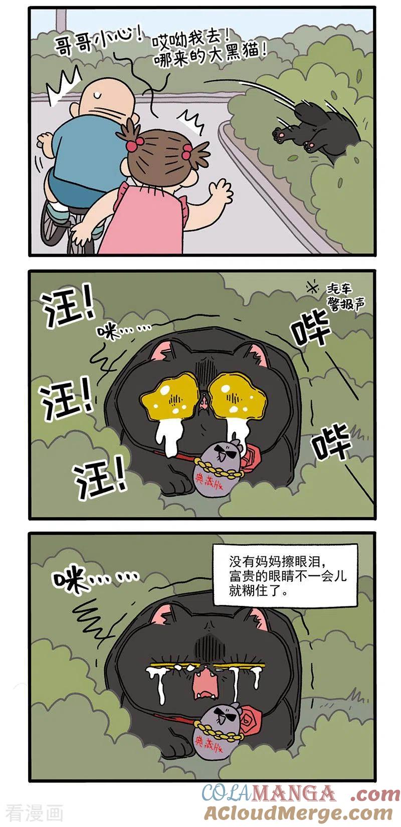 第37话1继任老大-阿满和麦茶-新漫画 日胖大海寺（第3张）