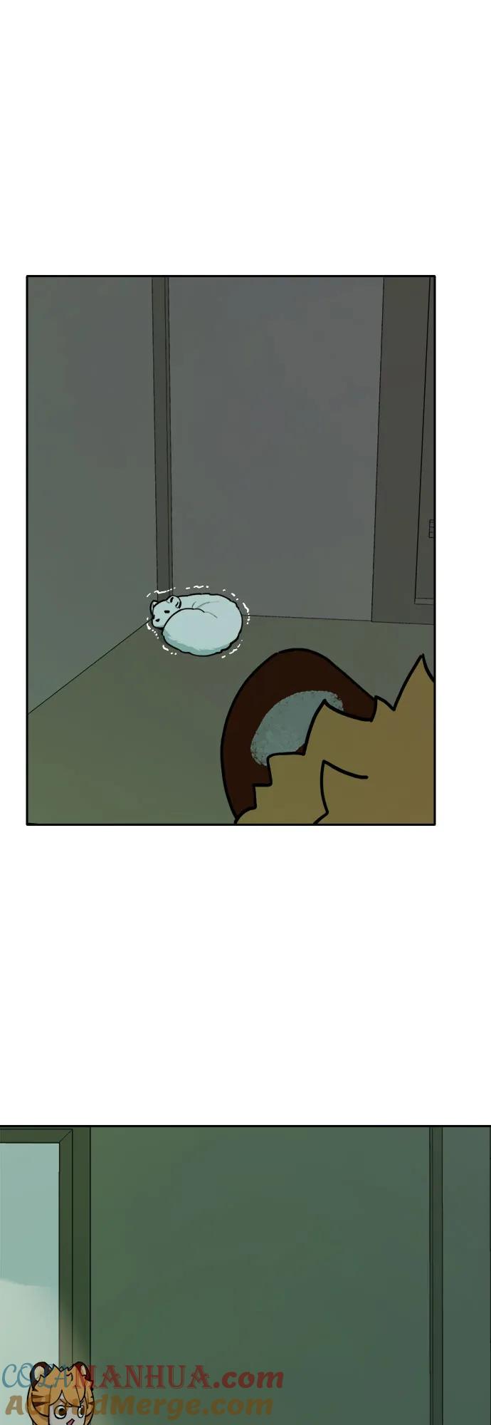 28.jpg