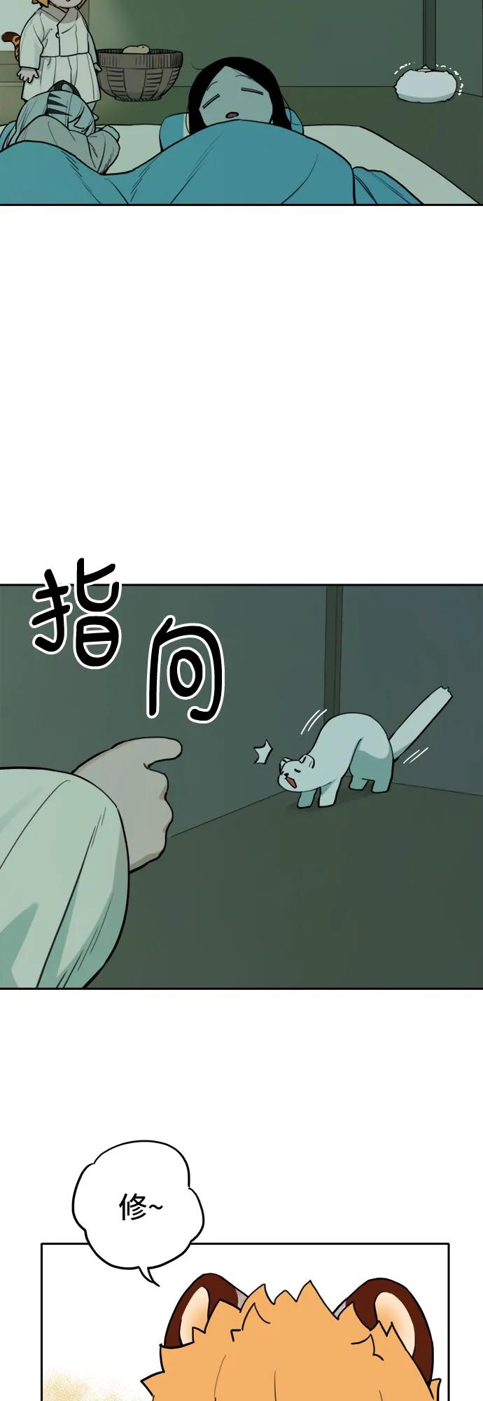 29.jpg