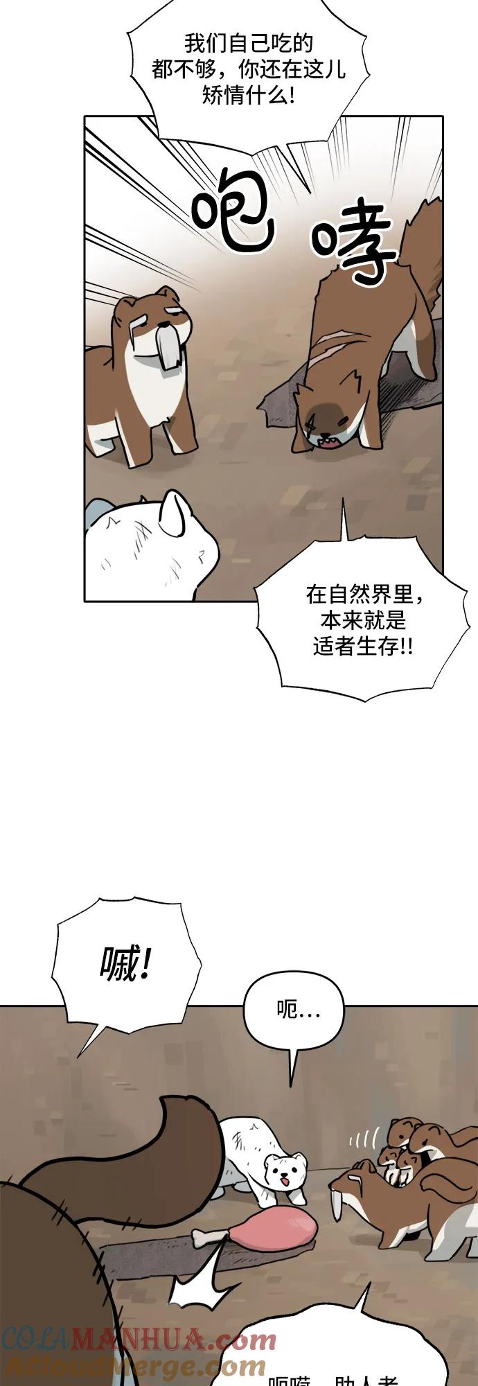 22.jpg