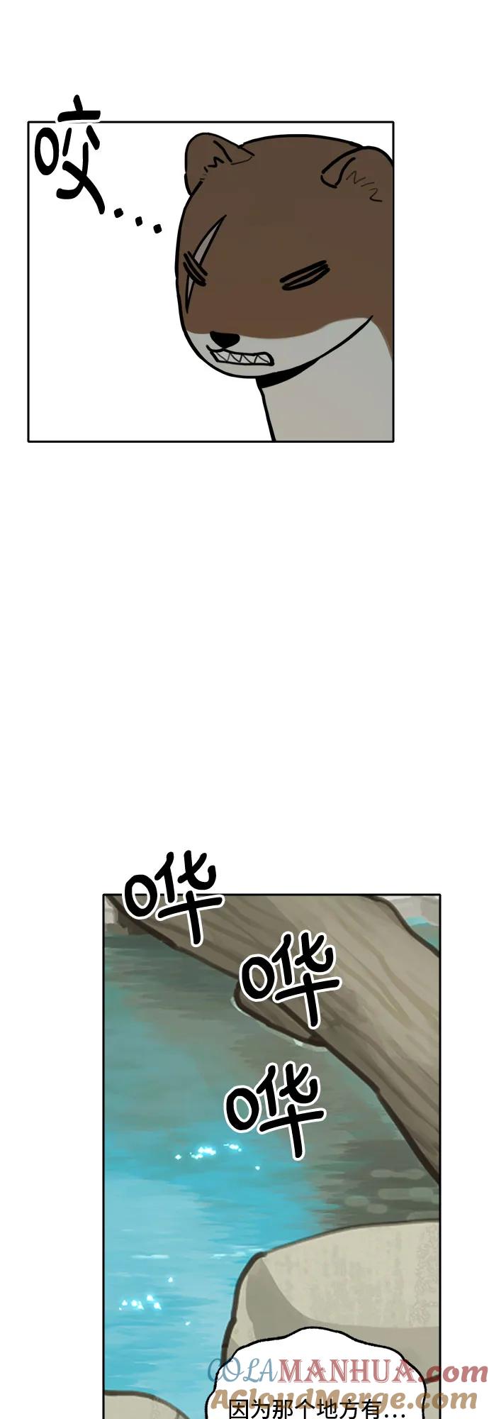 43.jpg