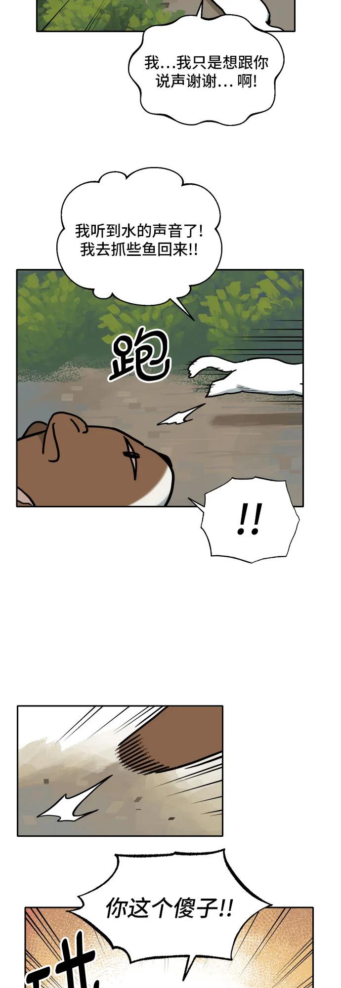 41.jpg