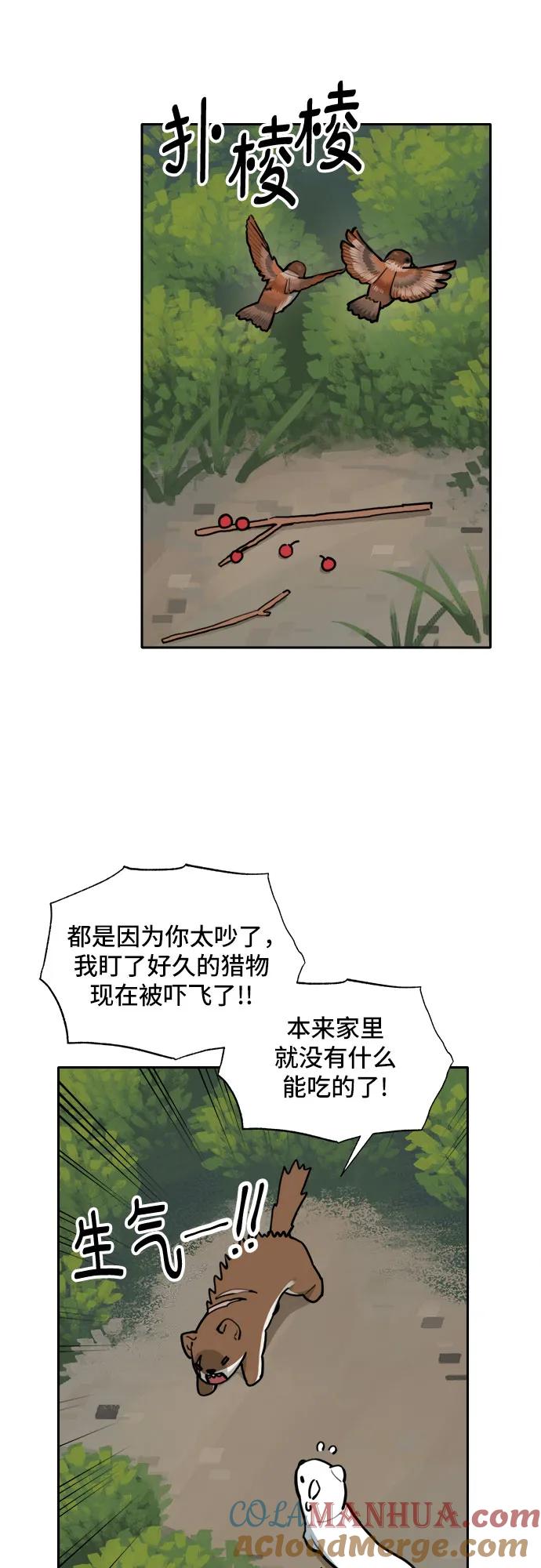 40.jpg