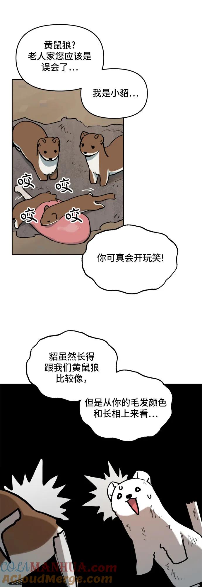 28.jpg