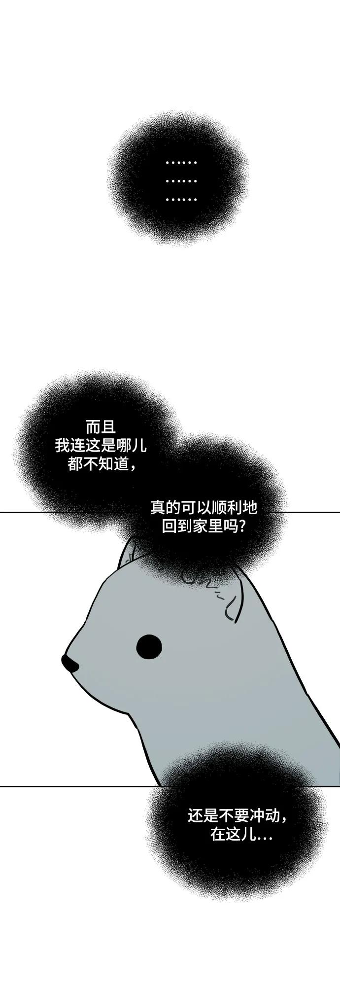 45.jpg