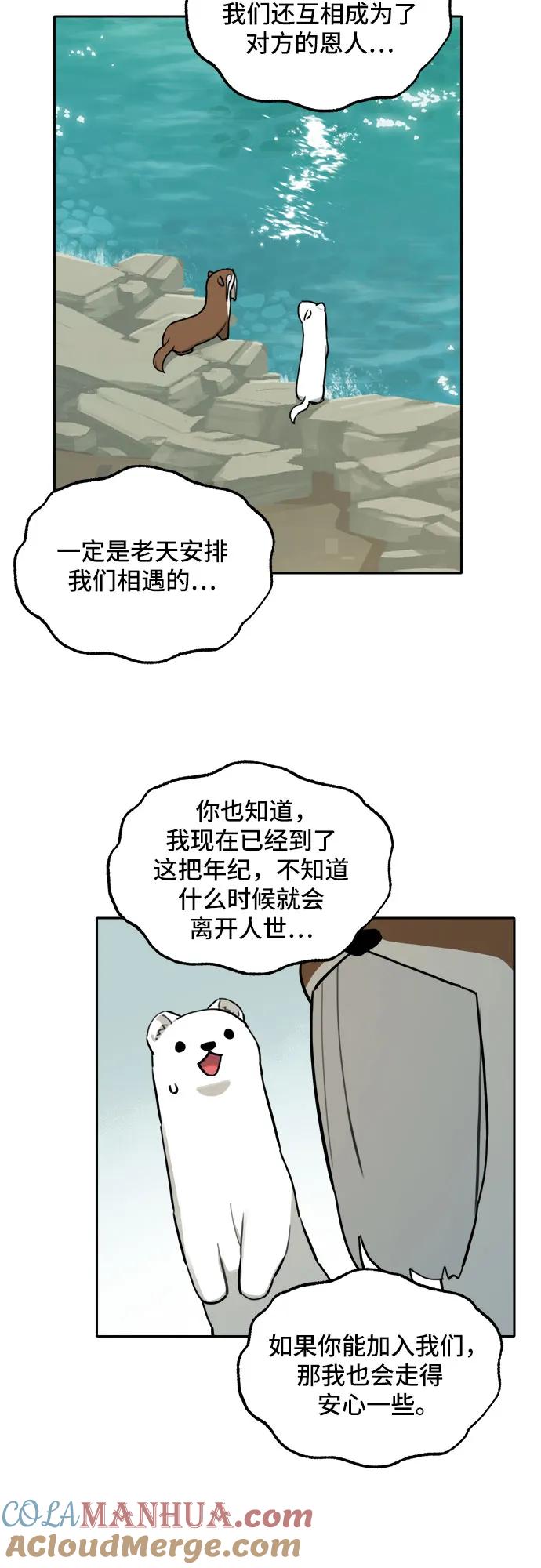 40.jpg