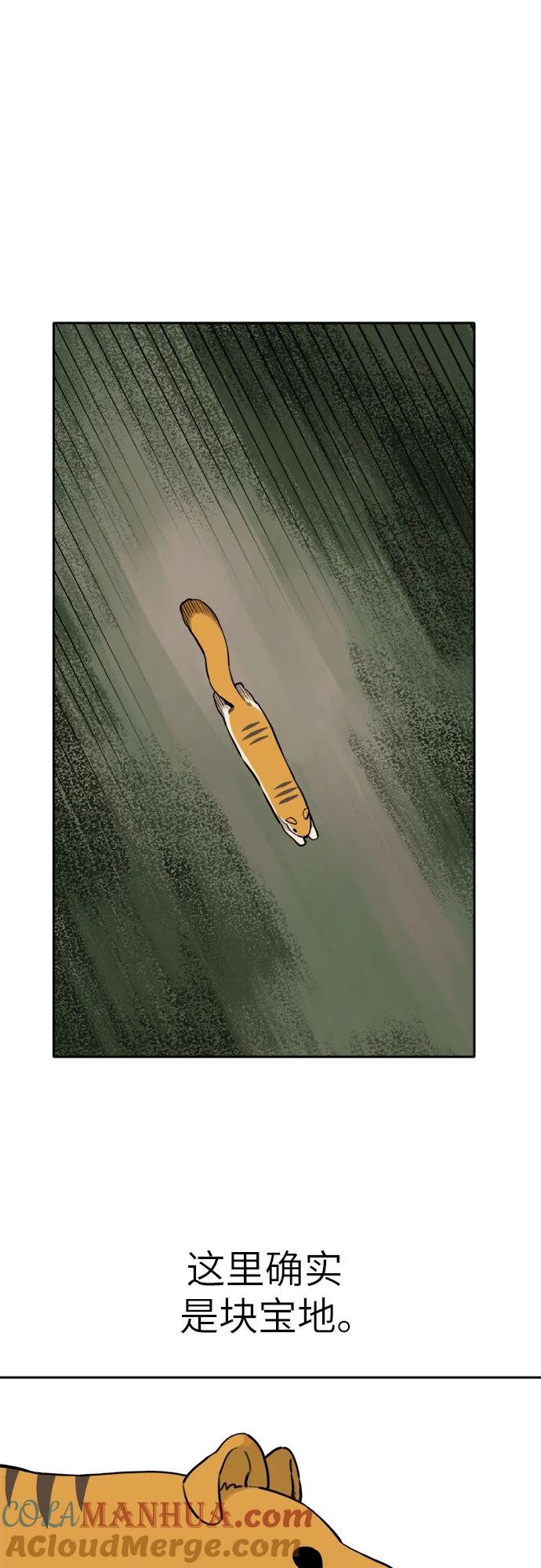 34.jpg