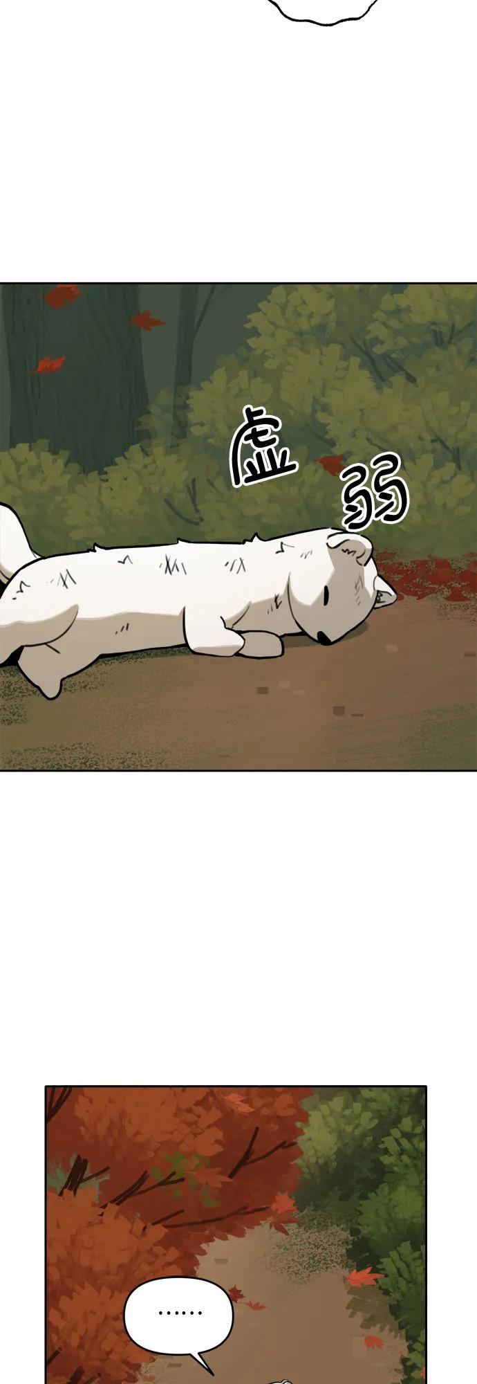48.jpg