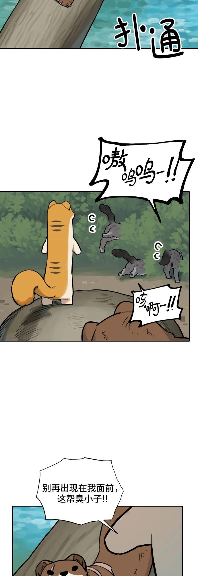 26.jpg