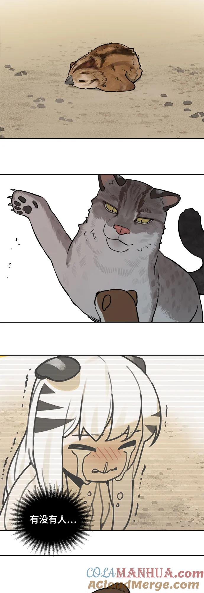 13.jpg