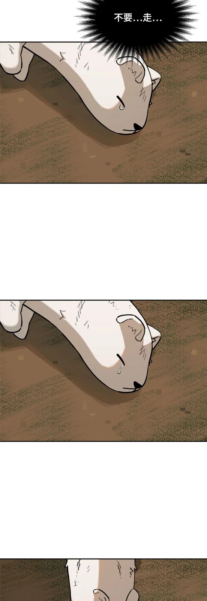 56.jpg