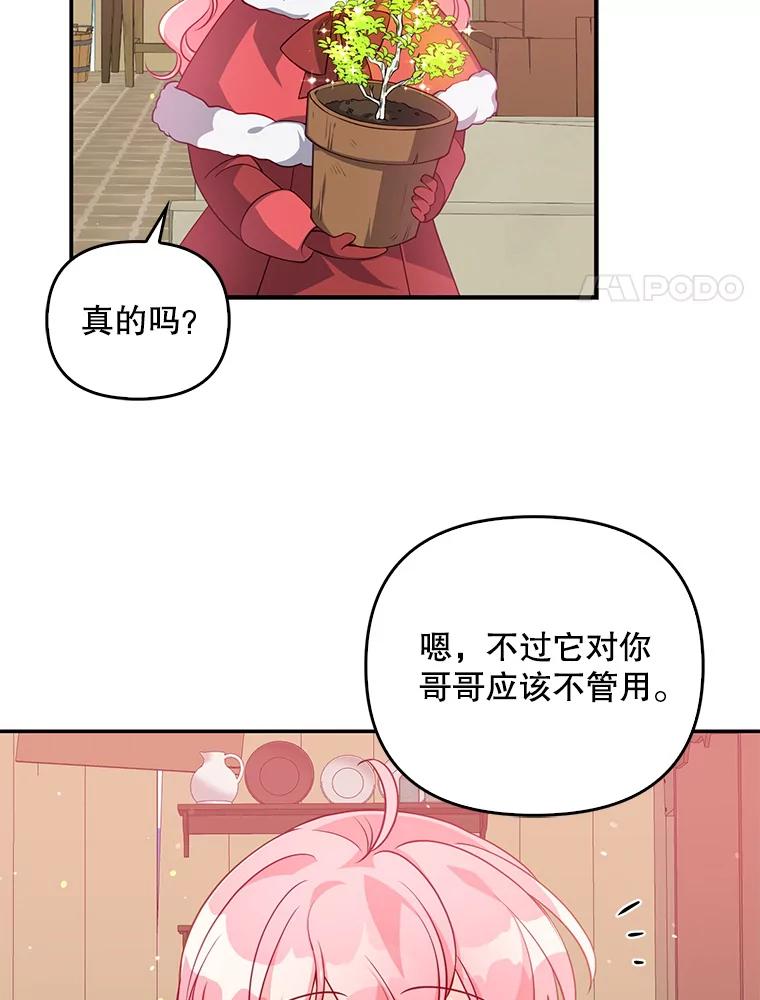 51.jpg