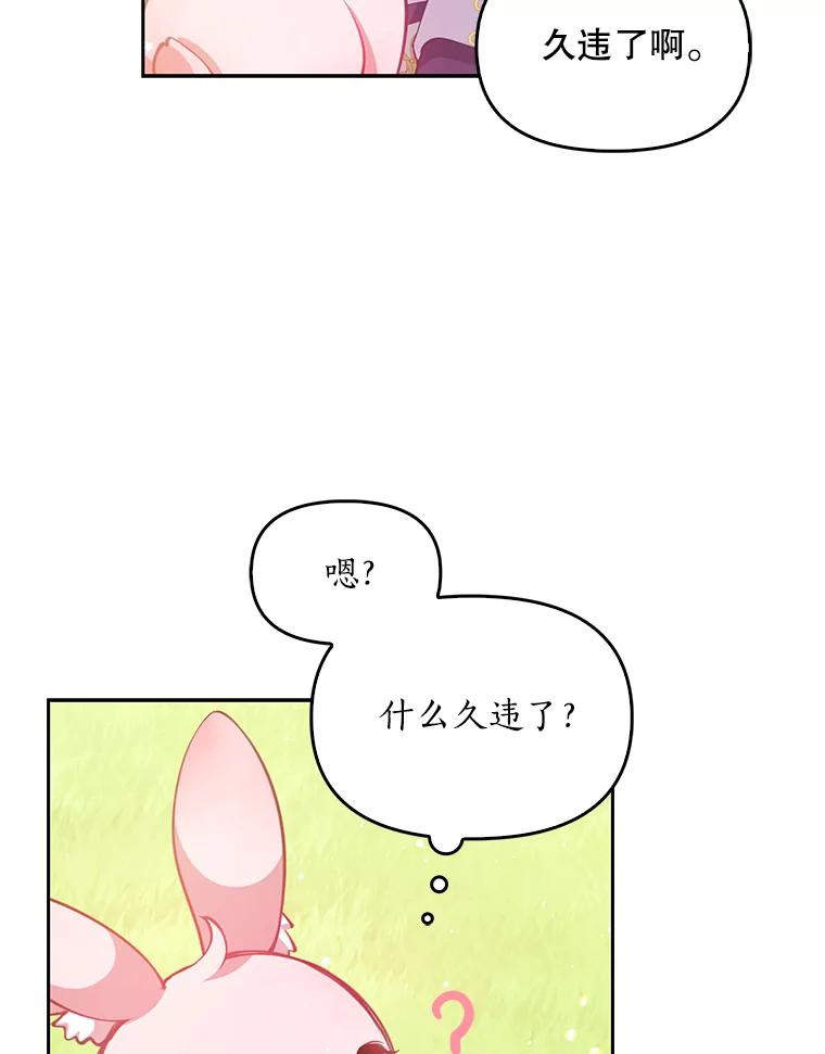 81.jpg