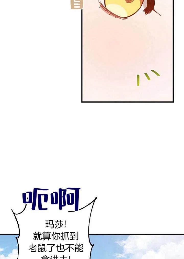 54.jpg