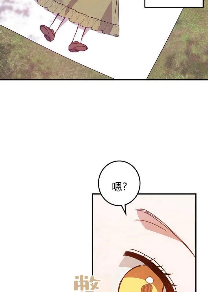 53.jpg