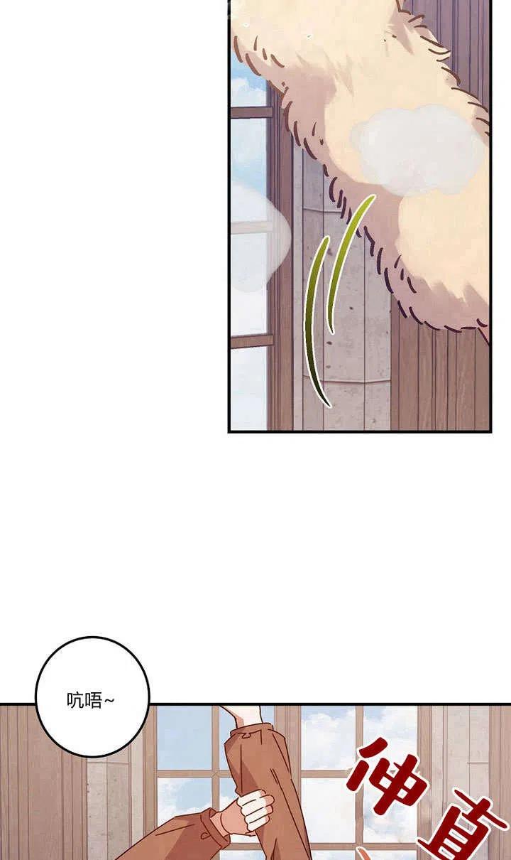 21.jpg